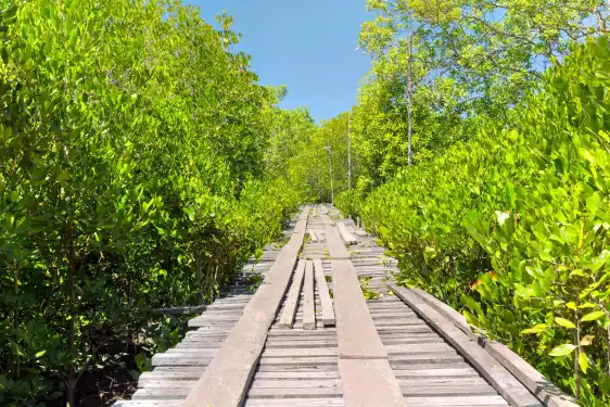 Hotels near Thung Yee Pheng Mangrove Forest