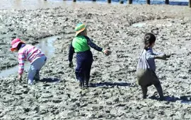 Muan Mudflat Land