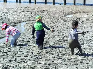 Muan Mudflat Land