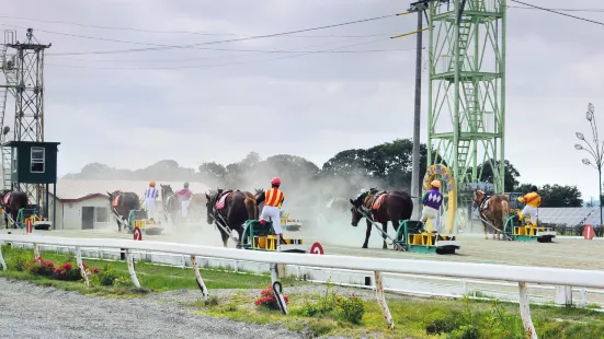Obihiro Racecourse