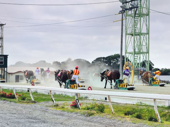 帶廣賽馬場