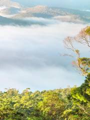 Tamborine National Park