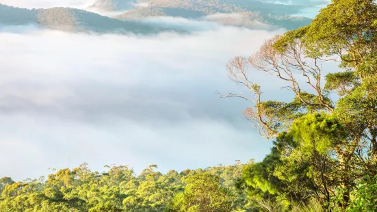 Tamborine National Park