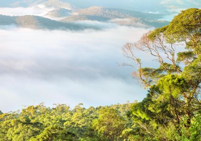 탬보린 국립공원