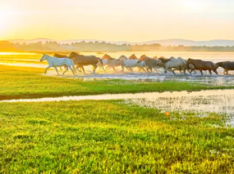 Popular Spring Outings in Chifeng