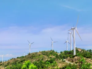 Windmill Island