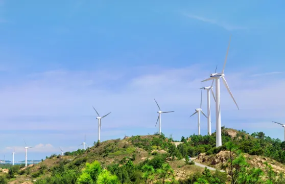 廣東汕尾紅海灣+風車島一日遊【純玩包車+上門接送+時間自由】