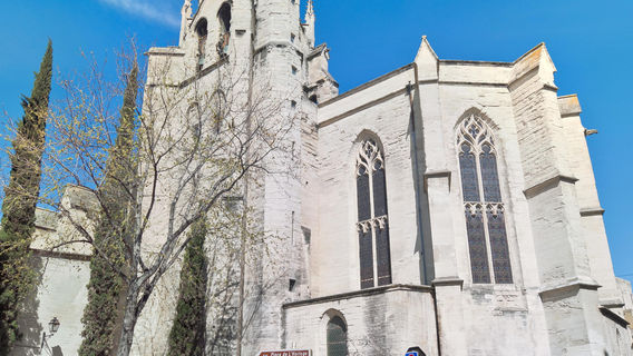 Avignon