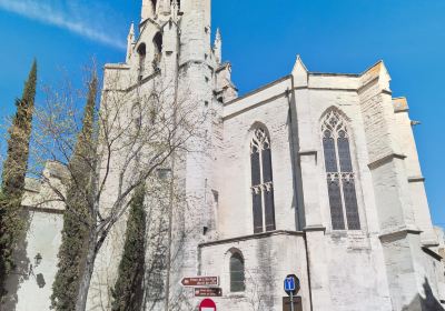Avignon