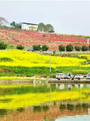 Yiluhuange Ecological Park