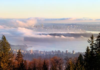 Cypress Viewpoint