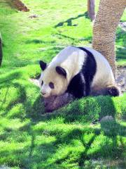 Линьцзиньский зоопарк