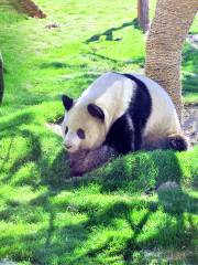 臨沂動植物園