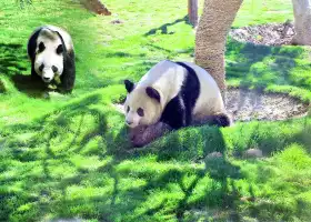 Linyi Zoo and Botanical Garden