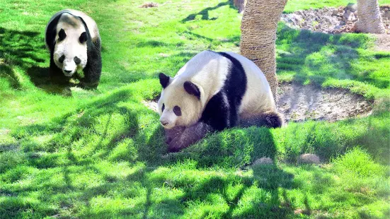 臨沂動植物園