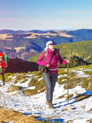 Rob Roy Track Lower Lookout