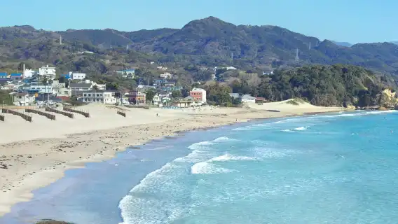 日本東伊豆+南伊豆+西伊豆+大室山【伊豆訂製行程丨可定多日】