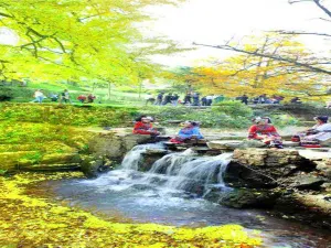 Tuo Le Ancient Ginkgo Scenic Ared