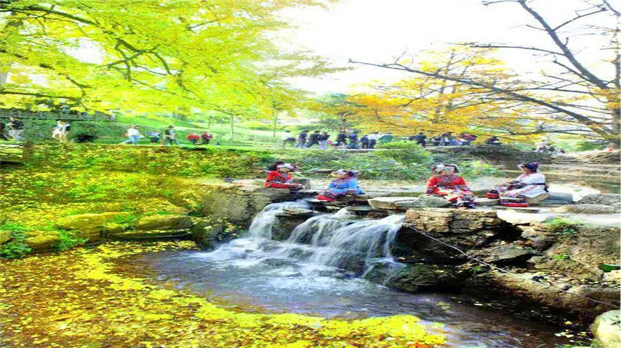 2_Tuo Le Ancient Ginkgo Scenic Ared