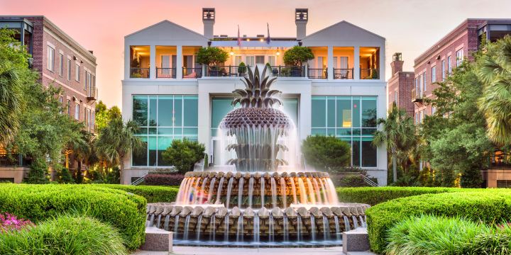 Pineapple Fountain