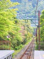 早雲山