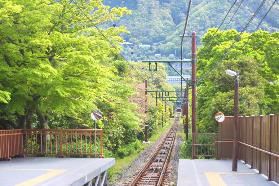 早雲山