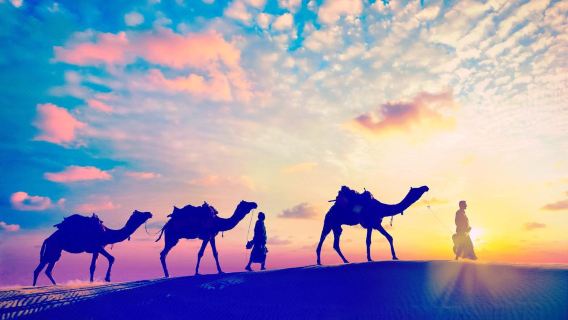 Thar Desert