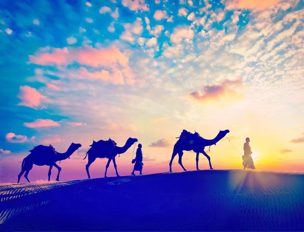 Thar Desert