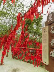 天門山國家森林公園-鬼谷棧道