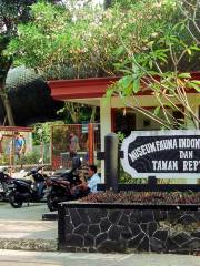 Komodo Indonesian Fauna Museum and Reptile Park