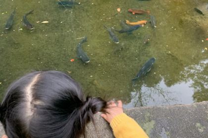 途中饭店(开化店)