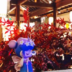 蛮牛海鲜烧烤城(琵琶路店) 여행 사진