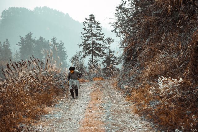 십팔동촌