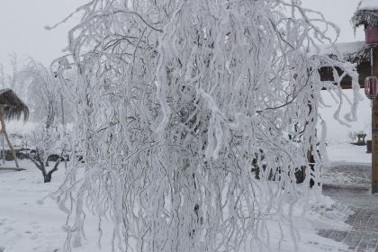 达拉特旗兴昌渔村