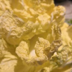 華北牛肉（華小麗店）張用戶圖片