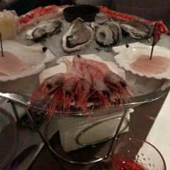 White Rabbit User Photo