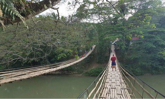 Bamboo Hanging Bridge