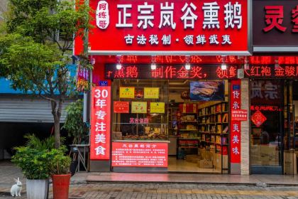 阿练哥正宗岚谷熏鹅