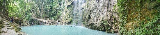Tumalog Falls