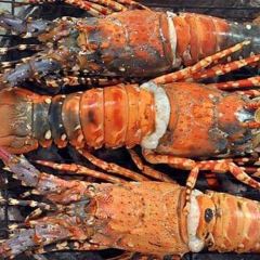 Mệ Huê Quán ảnh của người dùng