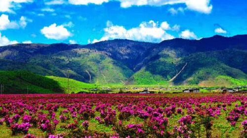 Bailangshan Scenic Area