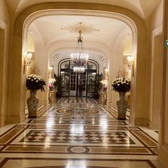 LA BAUHINIA張用戶圖片