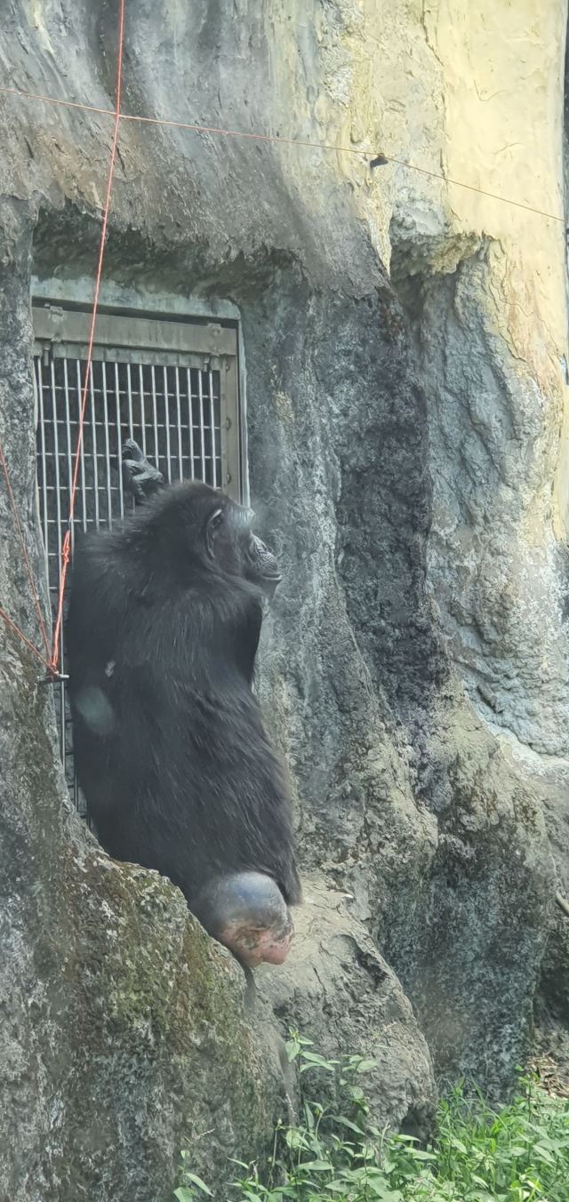 Taipei Zoo Attractions Taipei Travel Review Travel Guide Trip Com
