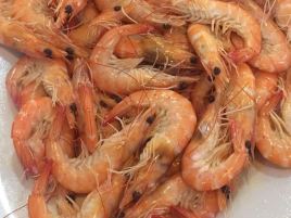 Seaside Dampa