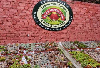 Cactus View Restaurant User Photo