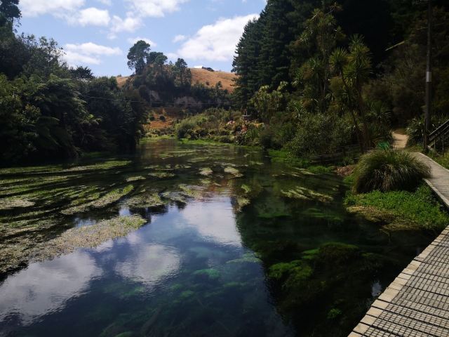 Blue Springs