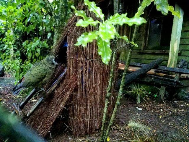 Rainbow Springs Nature Park