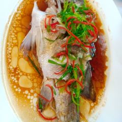 东北小胖水饺 User Photo