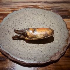 Gaa張用戶圖片
