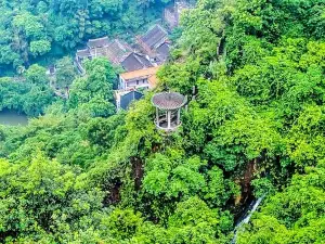 Nanhai Bay Forest Ecological Park